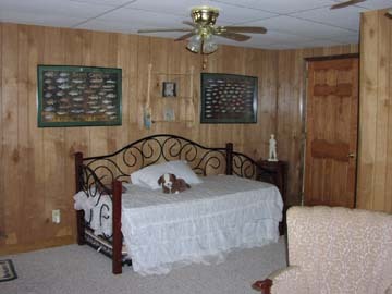 Basement bedroom
